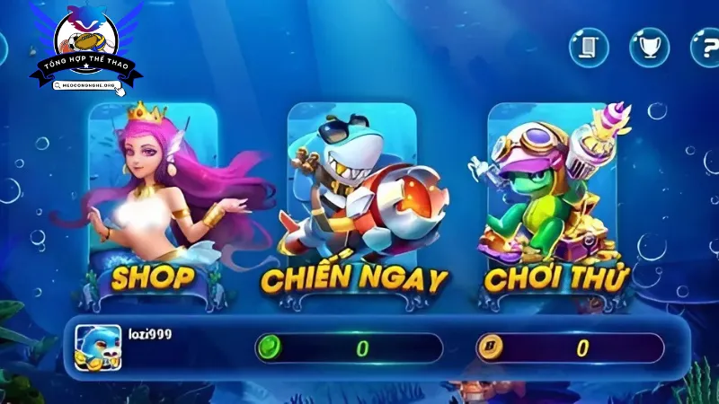 Một số lưu ý khác khi chơi tại cổng game bắn cá BayVip