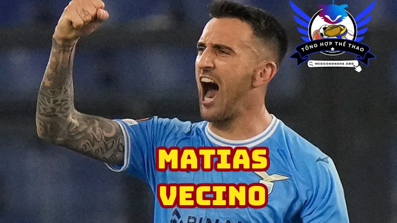 Sự nghiệp thi đấu quốc tế của Matias Vecino