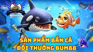 Tổng hợp các sản phẩm nổi bật tại Bum68