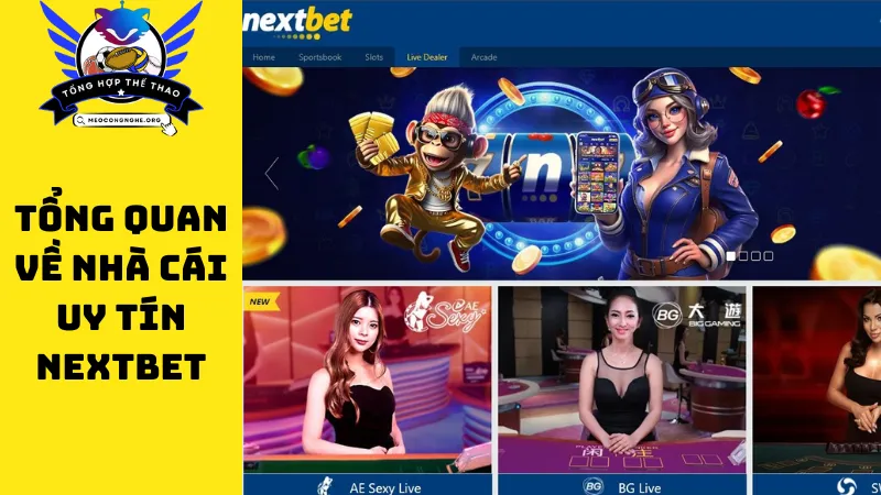 Tổng quan về nhà cái uy tín NextBet