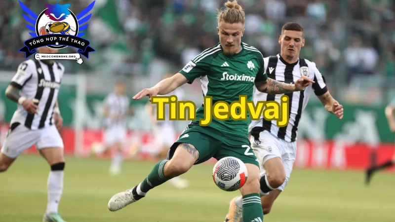 Đôi nét về Tin Jedvaj