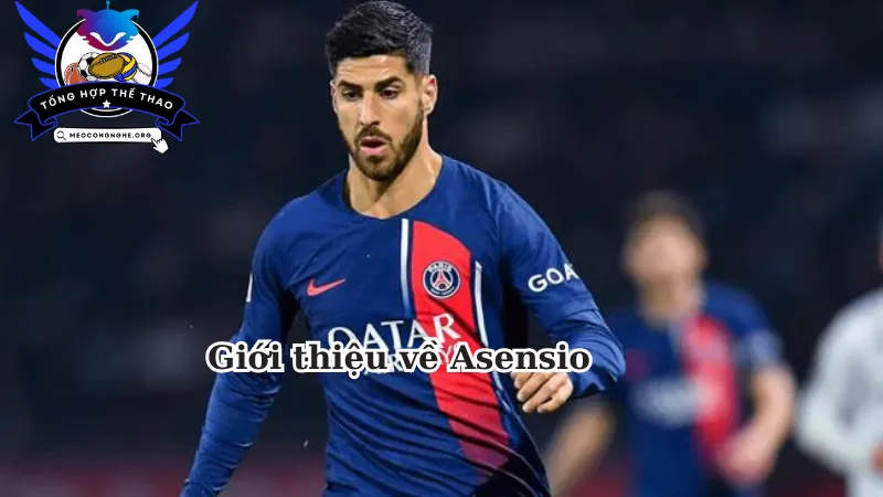 Giới thiệu về Asensio