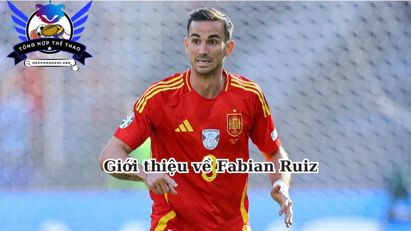 Giới thiệu về Fabian Ruiz