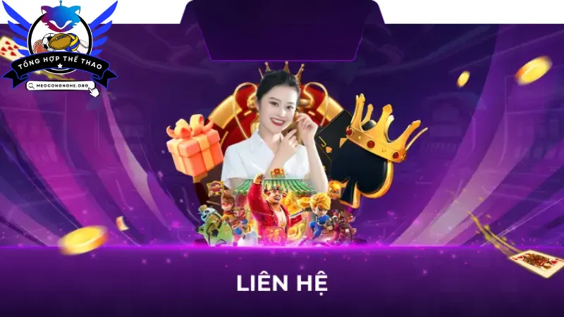 Những hình thức liên hệ với cổng game bài King Tips