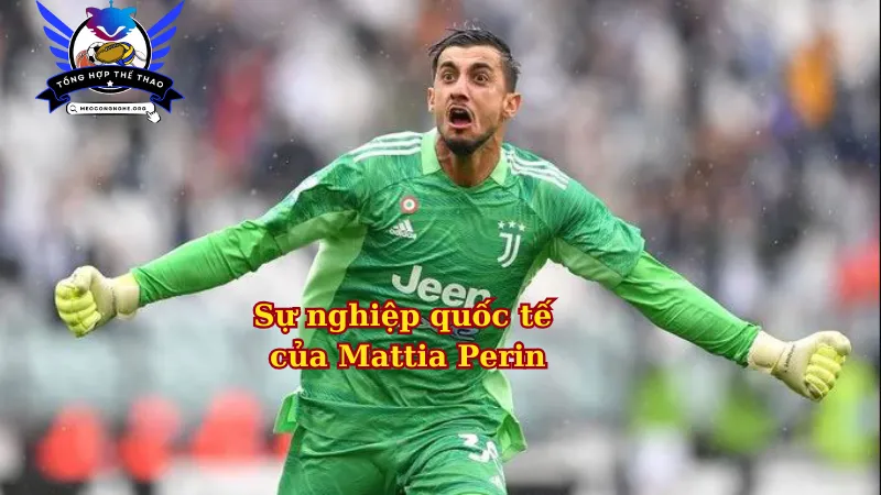 Sự nghiệp quốc tế của Mattia Perin